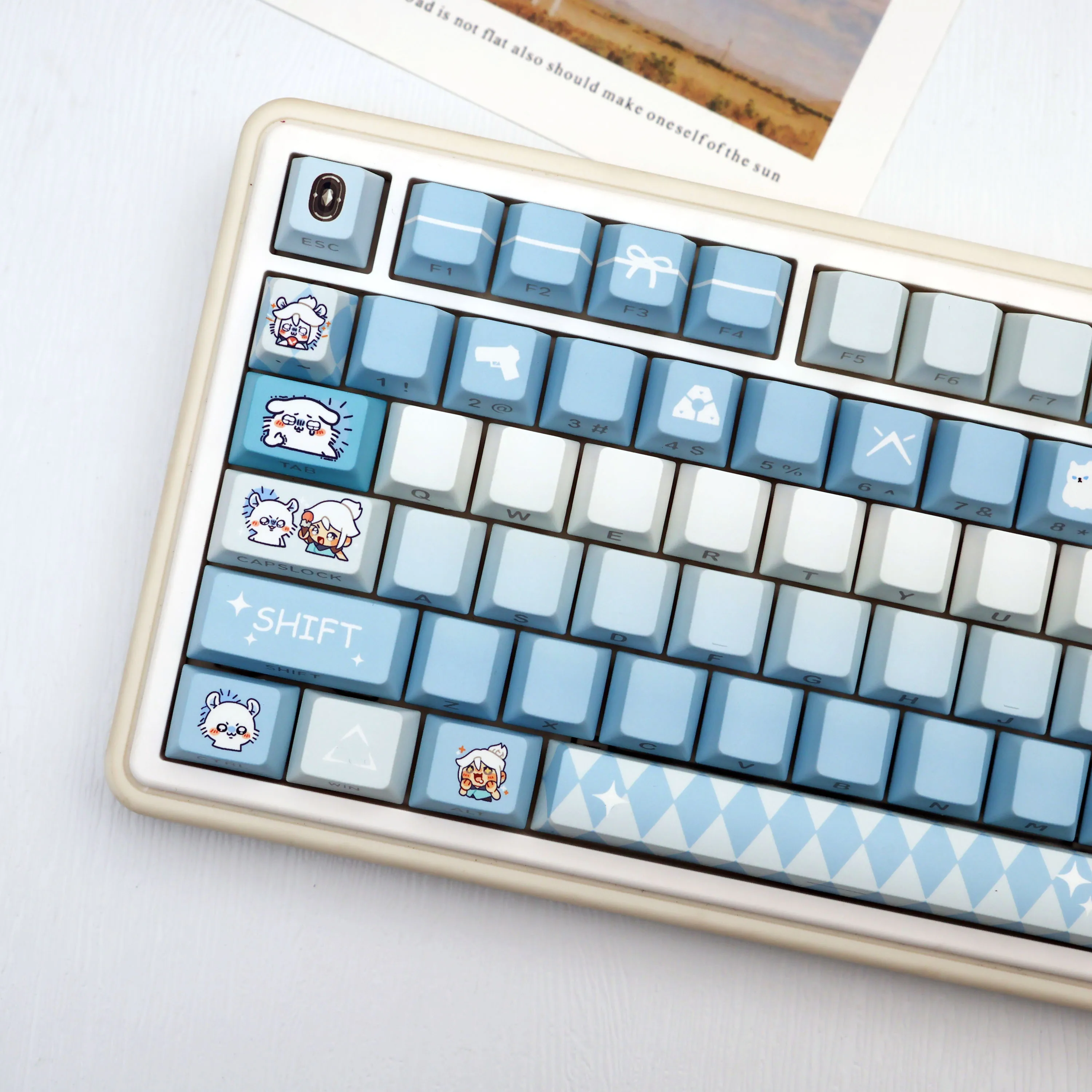 139 Keys Flying Squirrel PBT Keycaps Side Print Translucent Cherry Style Dye-Sub MX Switch 61 64 68 87 96 104 108