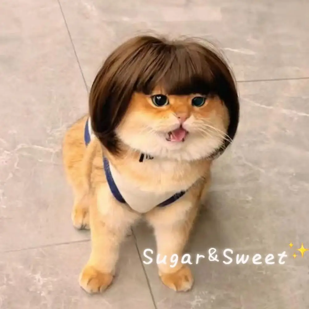 Pet Wig Cat Wig Cosplay Props Curly Hair Straight Hair Pet Supplies Creative Photography Funny Prank Gifts Dog Puppy