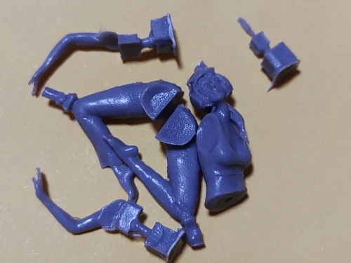 Buyer photo of this resin kit