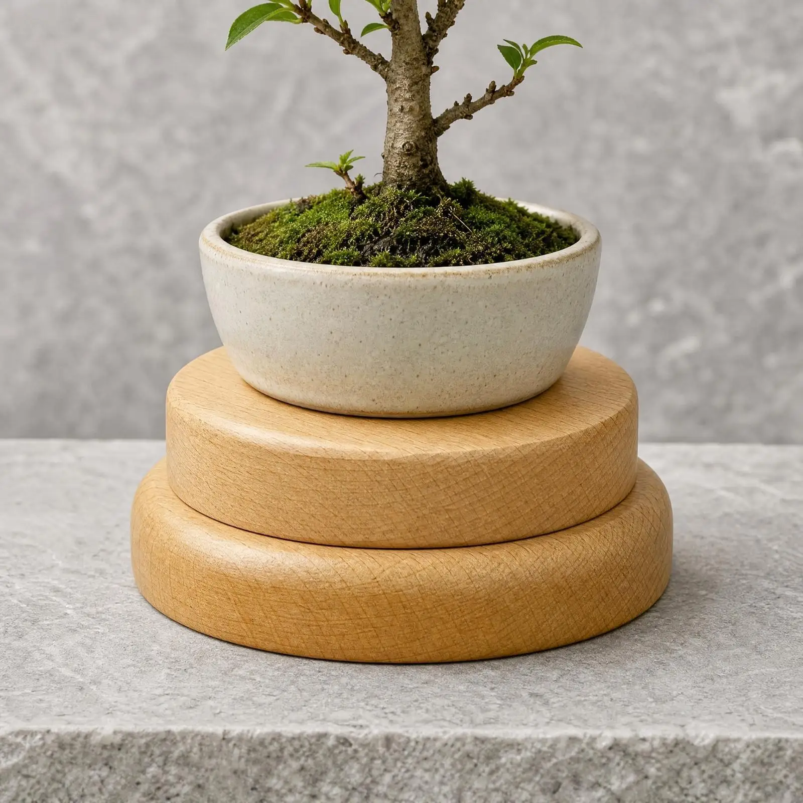 Wooden Display Stand Riser for Crystal Stones and Figurines Beechwood Pedestal with Chamfered Edges