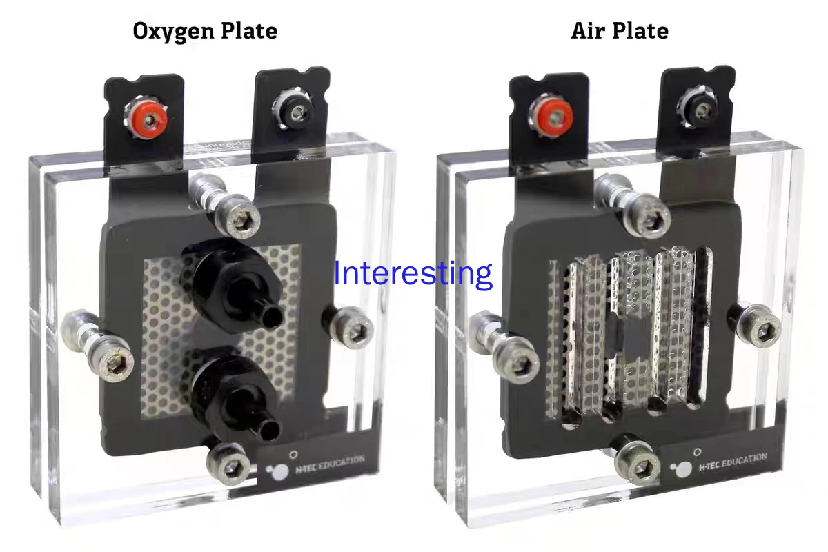 F107 Detachable Hydrogen-oxygen Fuel Cell Education Scientific Demonstration Teaching AIDS PEMFC Hydrogen Energy