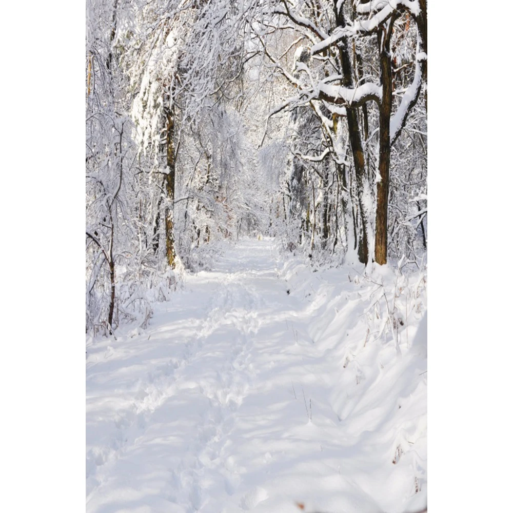 خلفية تصوير شتوية ، أشجار الثلج ، أرضية خشبية ، حقل ثلج ، طفل ، صورة أطفال ، خلفية صور عائلية ، ملصق ديكور ، استوديو صور