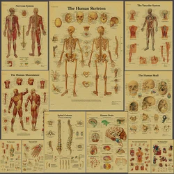 Anatomy and Physiology Poster The Body Structure Prints Nostalgic Printing Vintage Room Medical Decor Skeleton Art Wall Painting