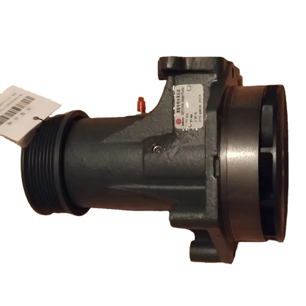 Pezzi di ricambio motore TLF 612600061739 4110000924103 Pompa acqua