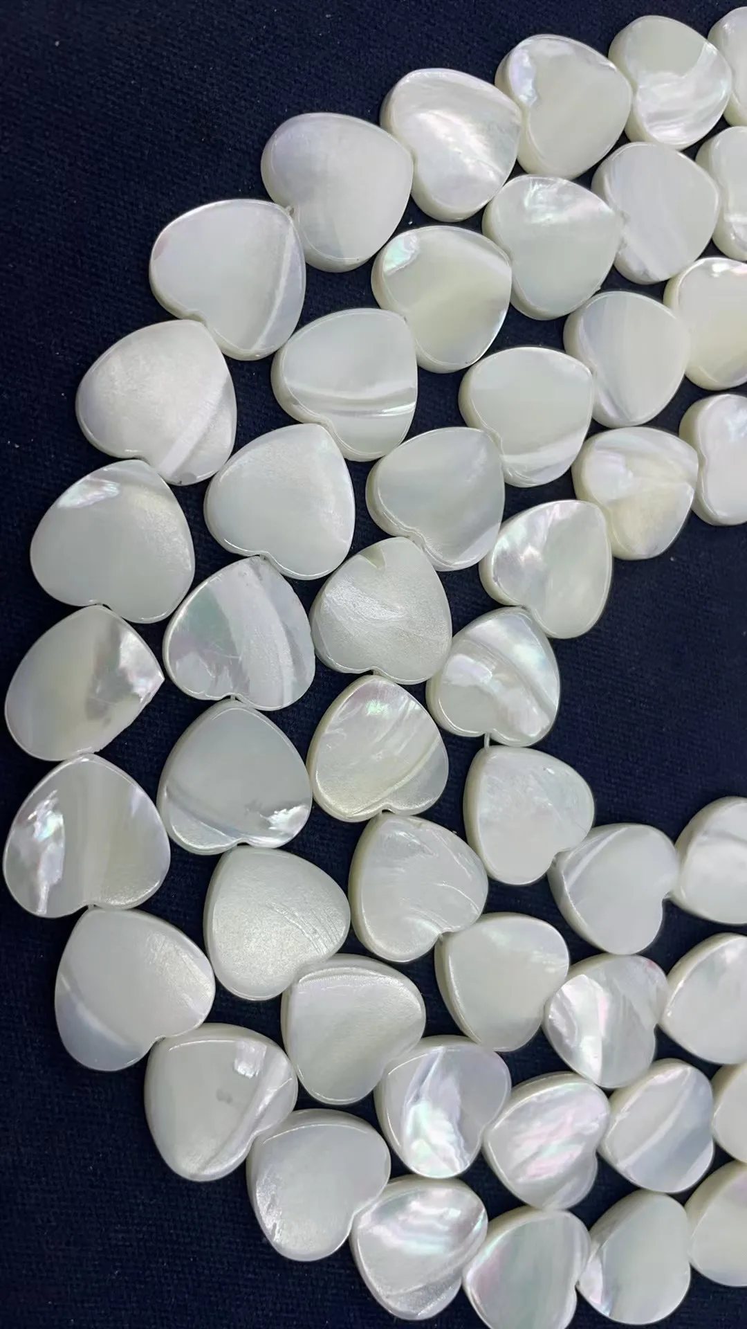 Wholesale Natural Horseshoe Shell 14x14mm Length38cm Agreed :25 Grain