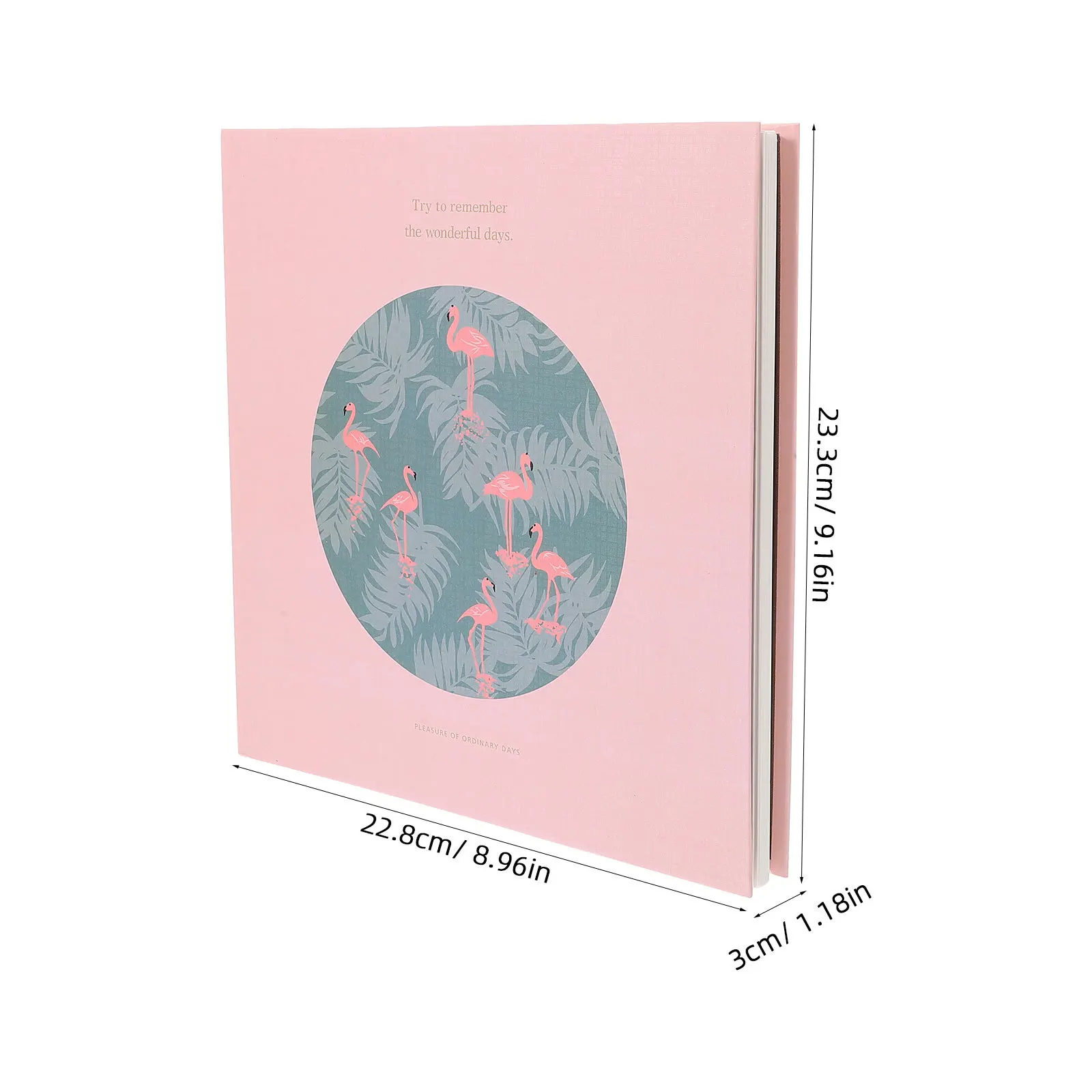 كتاب عينة نباتية لزجة متعددة الوظائف سهل إزالة ألبوم تخزين الزهور المجففة ألبوم مجموعة الزهور المضغوطة أوراق فضفاضة