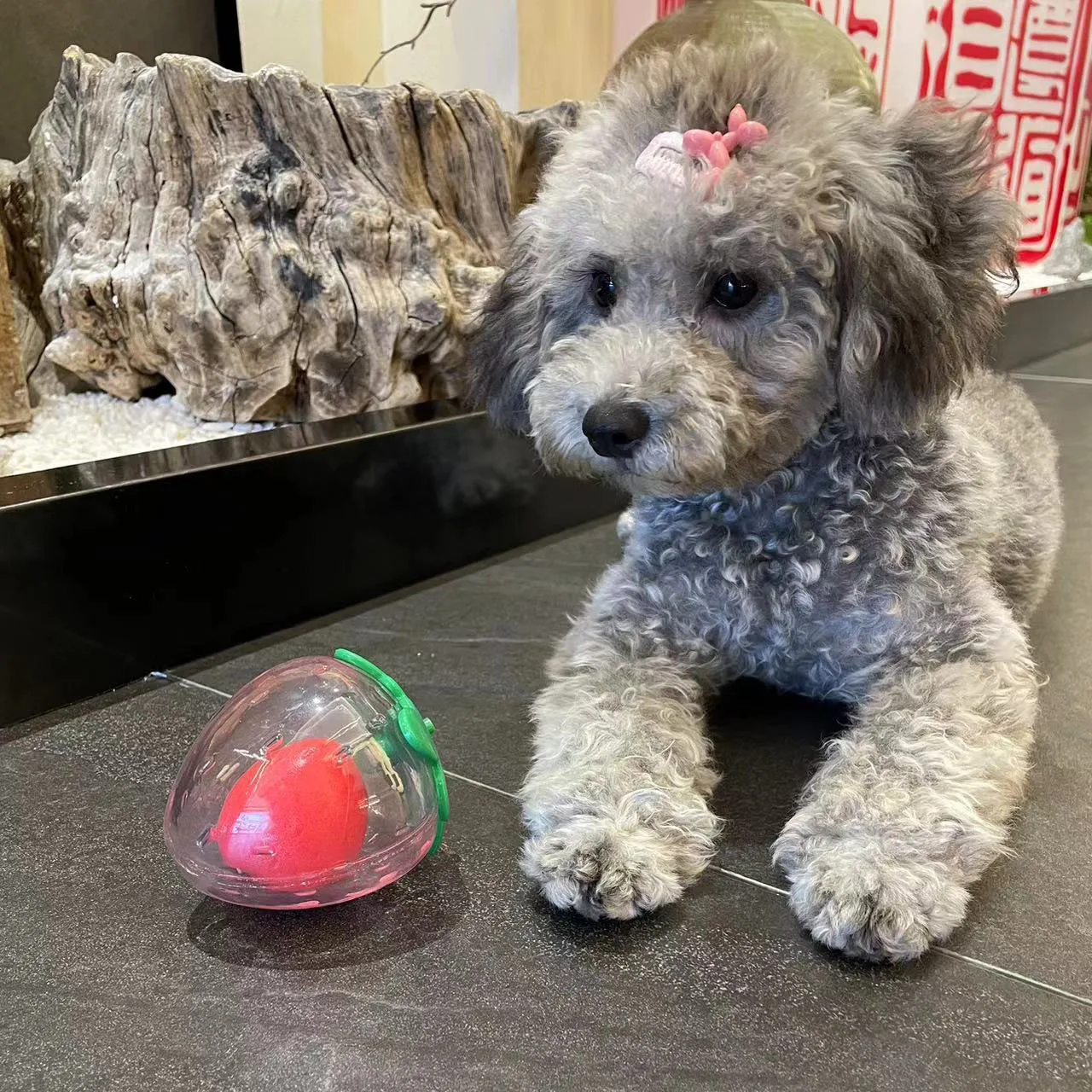 

Hot Sale Sound Bite Resistant Pet Dog Toy Teddy Bigbear Small and Medium Grinding Tooth Accompanying Pet Supplies Ball