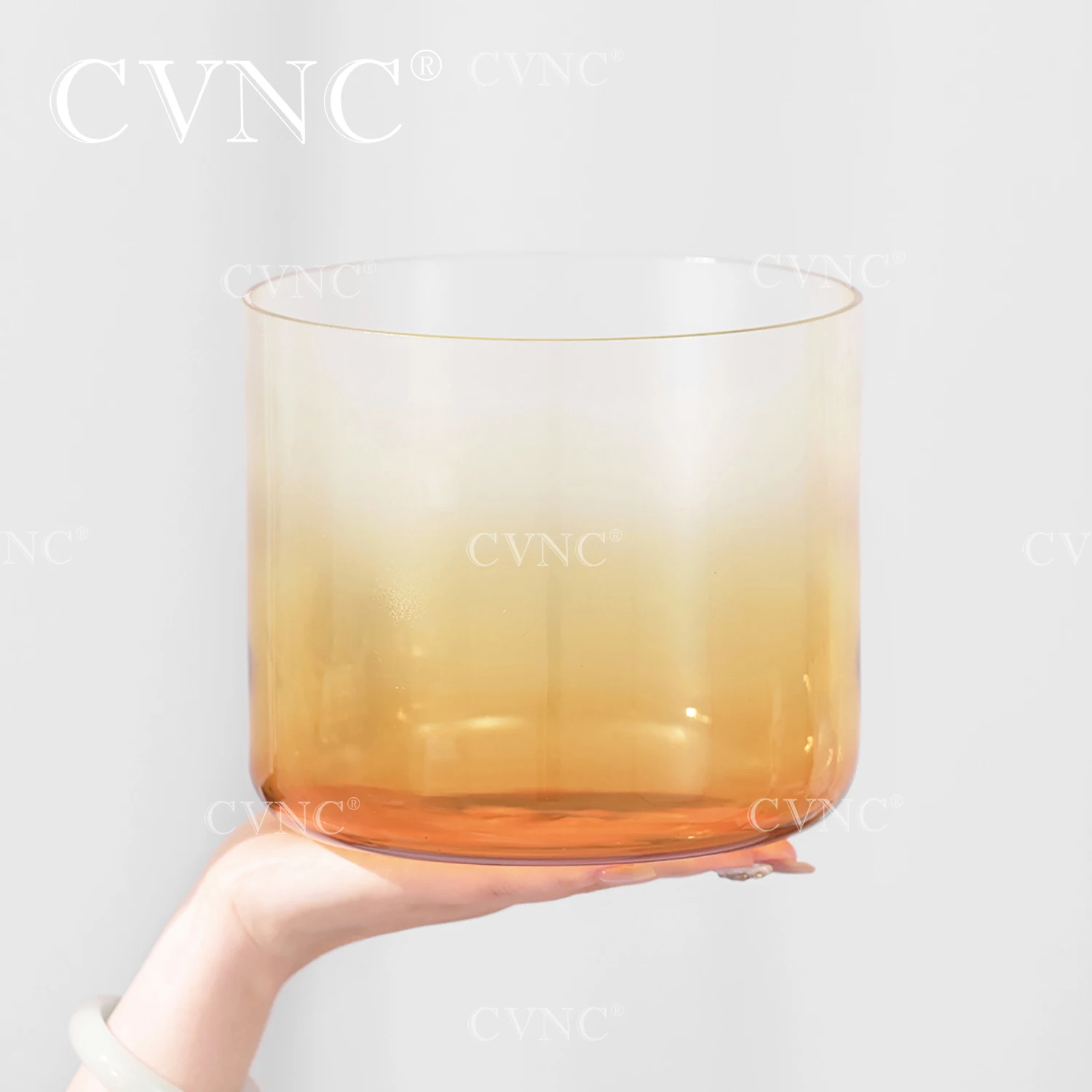 CVNC 6