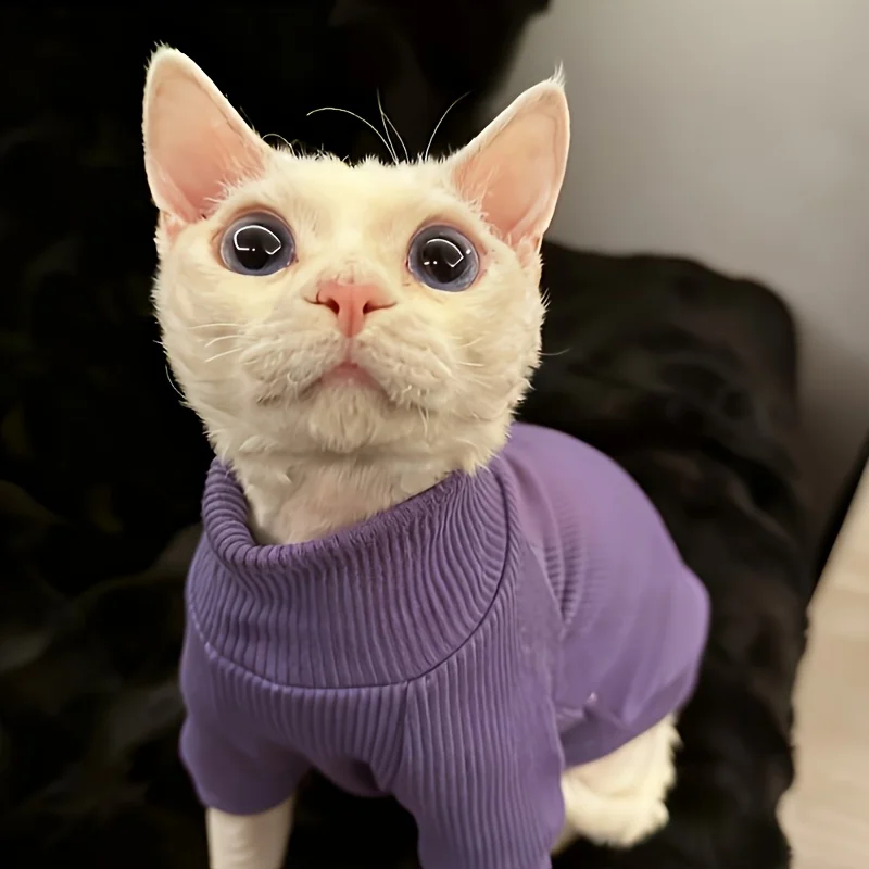 3 Colors Sphynx Hairless Cat Warm Two-Legged Jumpsuit Skin-Friendly Breathable Washable Pet Base Layer for Maltese Cat Dog Autum