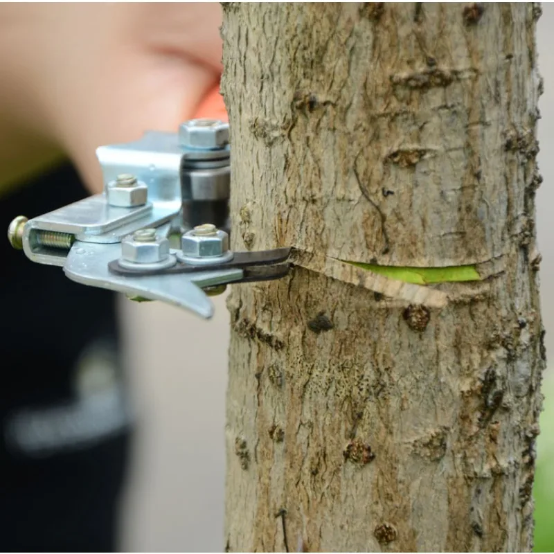 Apple Lychee Tree Fruit Tree Ring Cutter Adjustable Size Tree Ring Cutter Ring Branch Pruning Ring Peeling Knife