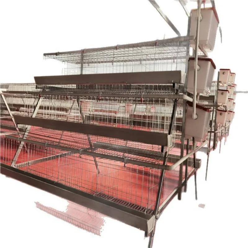 Factory direct sales of chickens and coops for efficient chicken farming and worry-free service