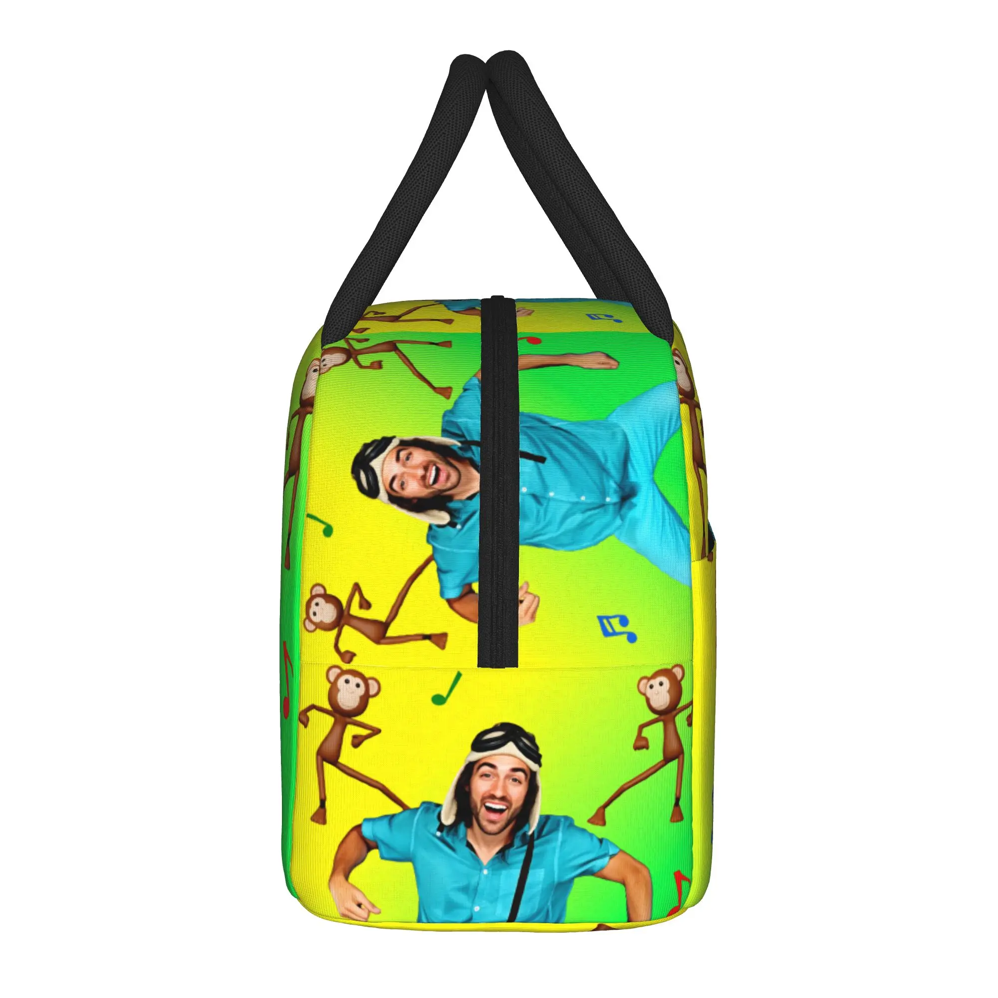 Danny Go Animated Programs Lunch Bag Lunch Box Picnic Portable Thermal Tote Handbags For Women Waterproof Print Cooler Bag