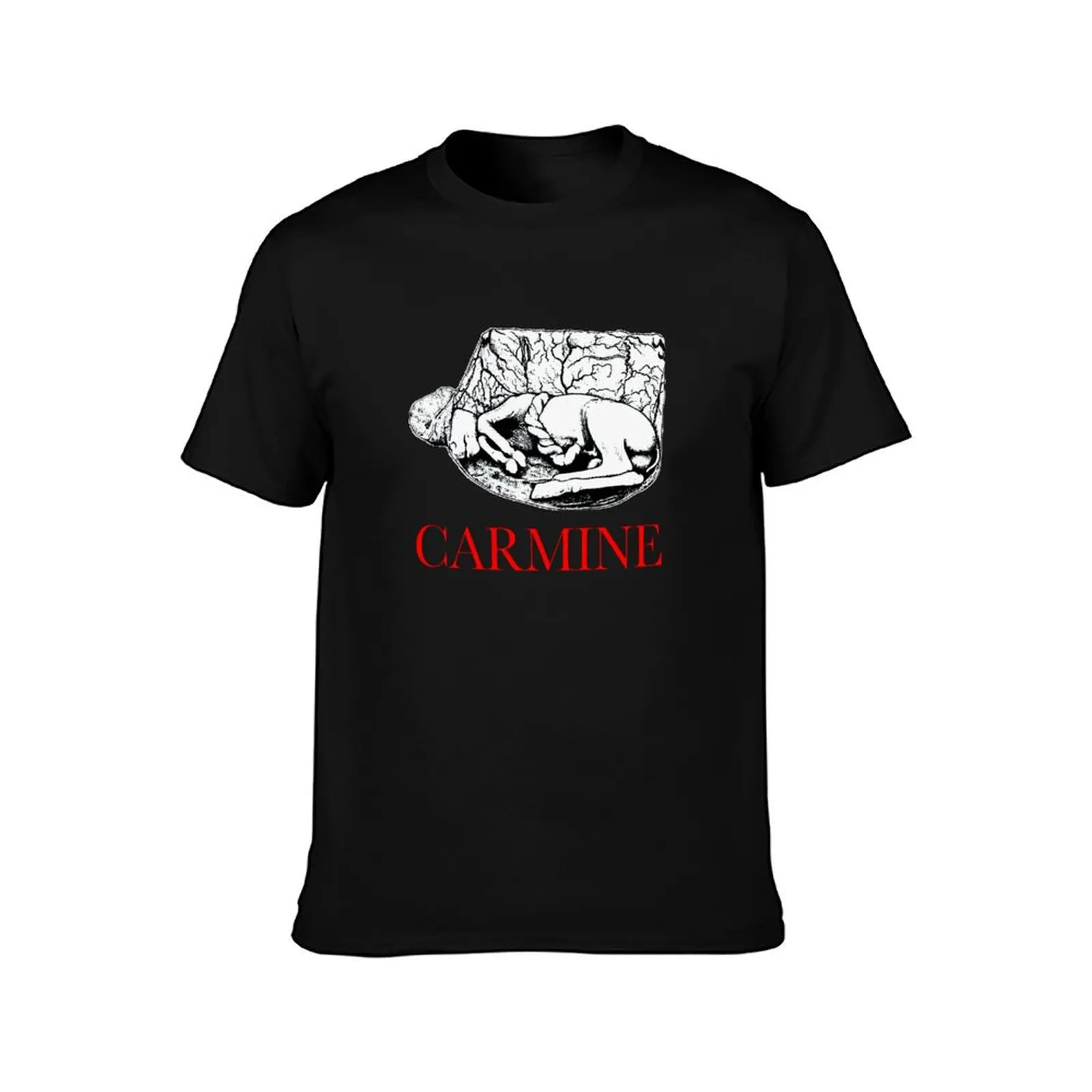 Carmine Horse Embryo T-Shirt Basic Plain Tee for Spring and Summer T-Shirt