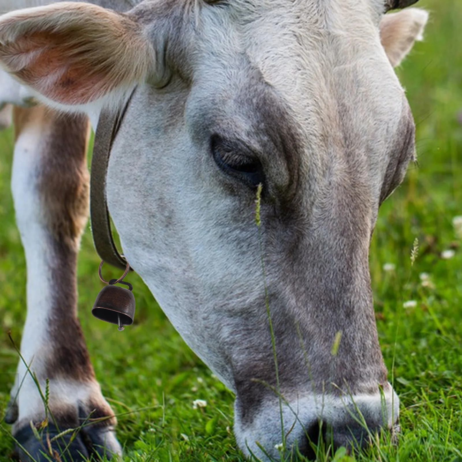 10 قطعة أجراس البقرة المعدنية بصوت عال هش الحيوان جرس للحيوانات الأليفة مكافحة خسر ديكور خمر الحديد البقرة التشجيع صانع الضوضاء