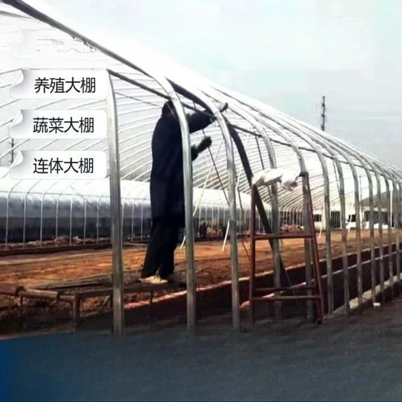Planting greenhouse, greenhouse skeleton, breeding greenhouse, chicken shed, pig shed, vegetable greenhouse