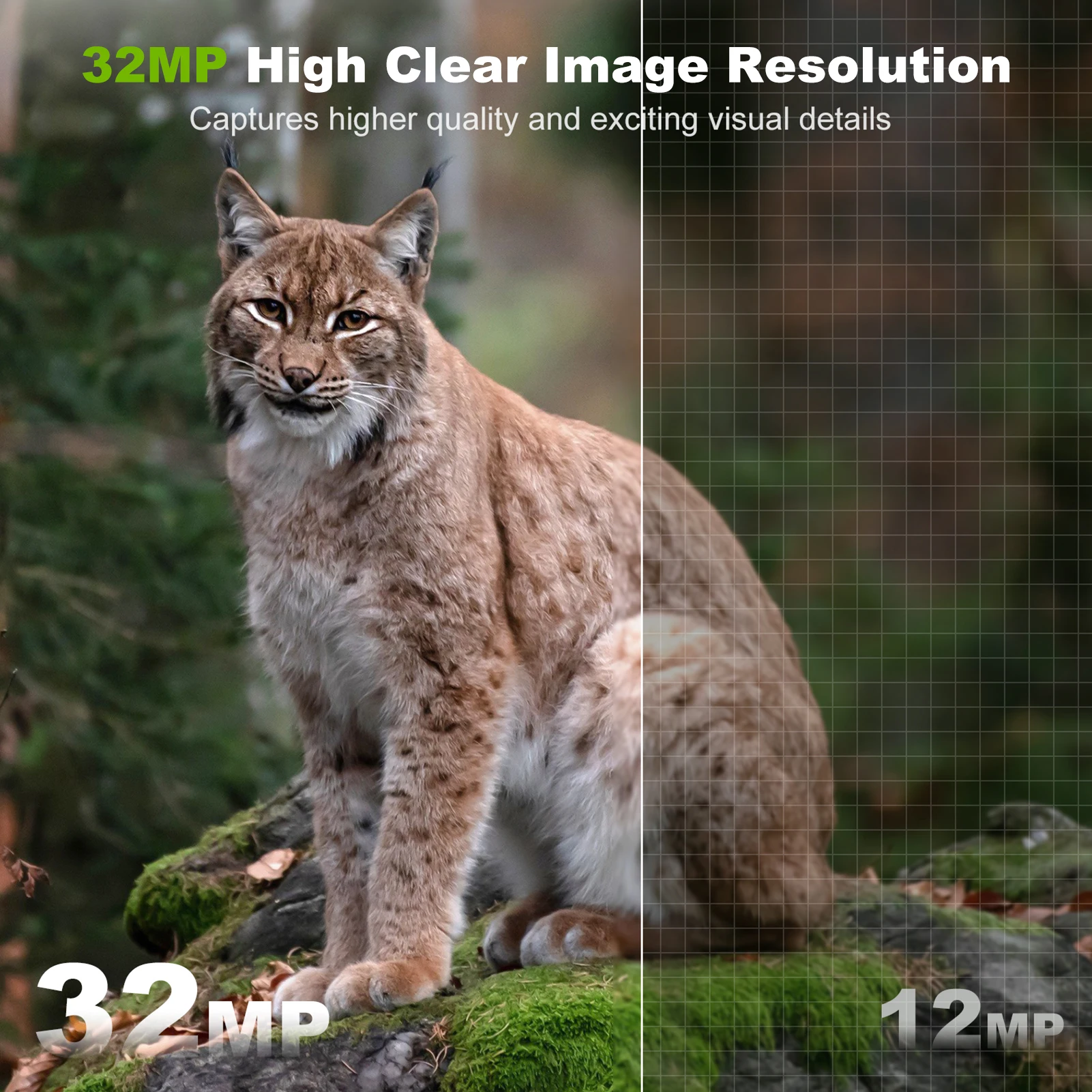 كاميرا درب لاسلكية خارجية ، كاميرا صيد للحياة البرية ، رؤية ليلية بالأشعة تحت الحمراء ، تمكين واي فاي ، IP66 مقاوم للماء ، 32 ميجابكسل