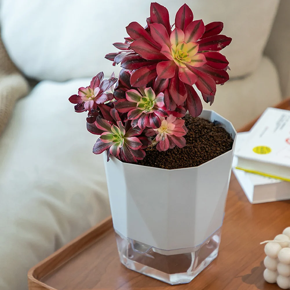 3/6pcs Lazy Hydroponic Flower Pot Automatic Water-Absorbing Flowerpot Transparent Double Layer Plastic Self Watering Planter