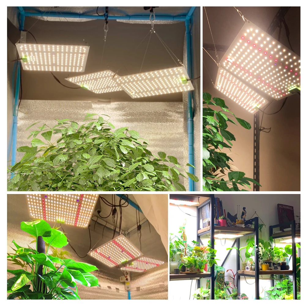 120 واط-240 واط قابل للتعديل الطيف الكامل الكم مجلس LED مصباح النمو لإضاءة نمو النباتات المائية الدفيئة