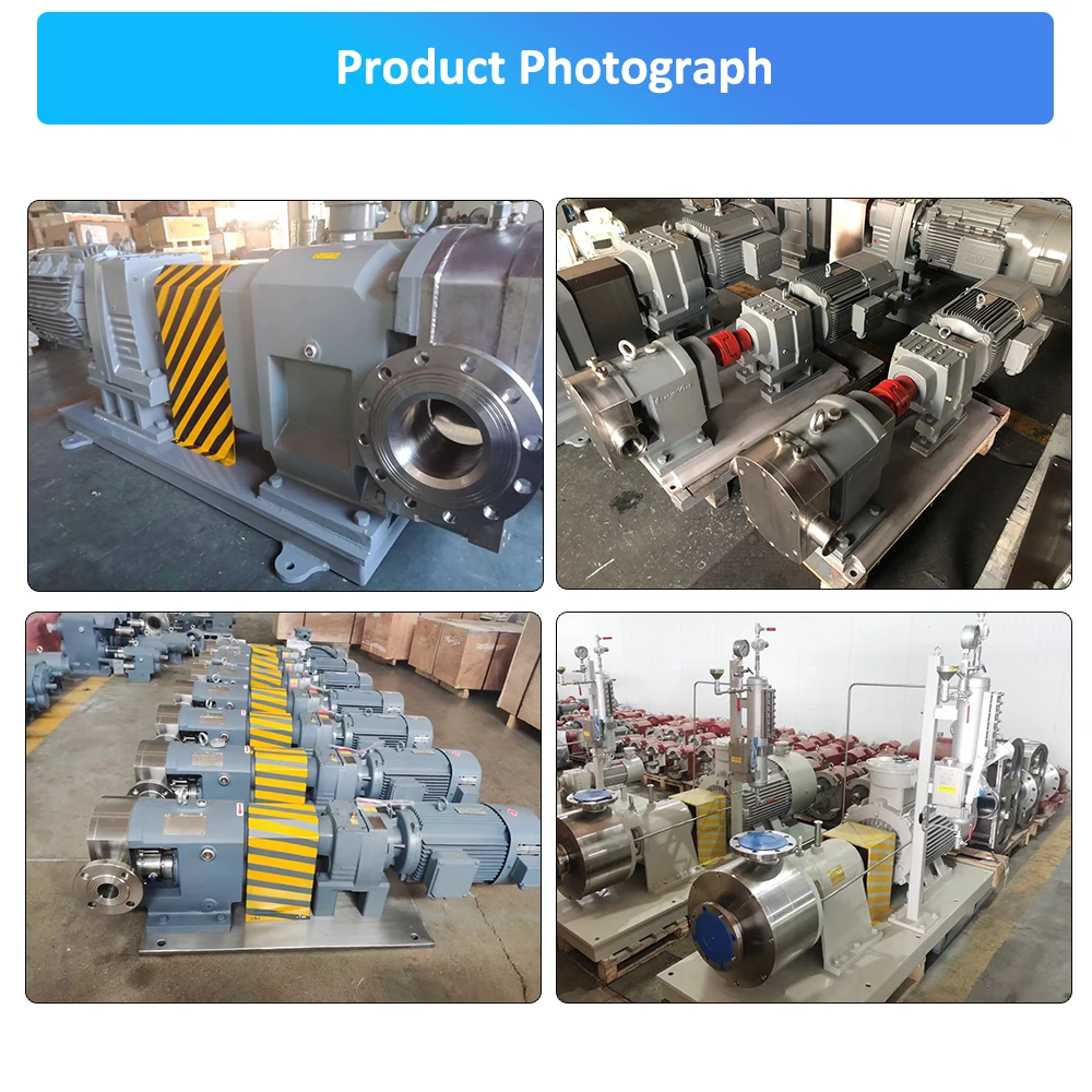 Stainless Steel Sanitary Grade Transfer Pump High Viscosity Syrup Sauce Food Colloid Pump Asphalt Volumetric Cam Rotor Pump