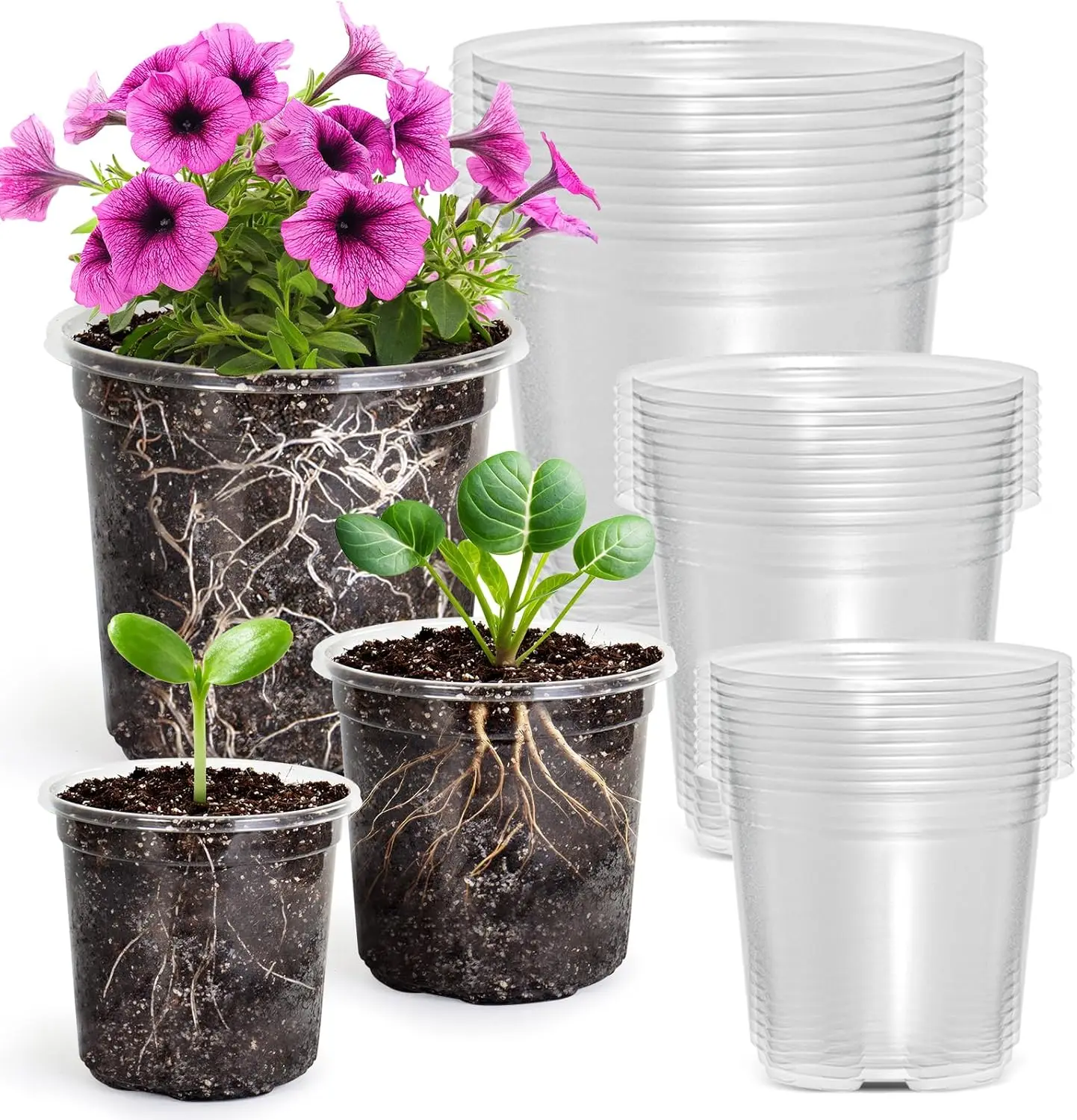 30 Pack Clear Plastic Nursery Pots with Drainage