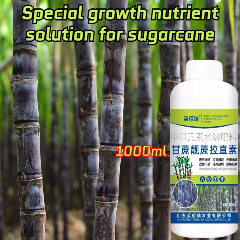 Sugarcane special growth nutrient solution to sweeten foliage fertilizer necessary for sugarcane 1000ml