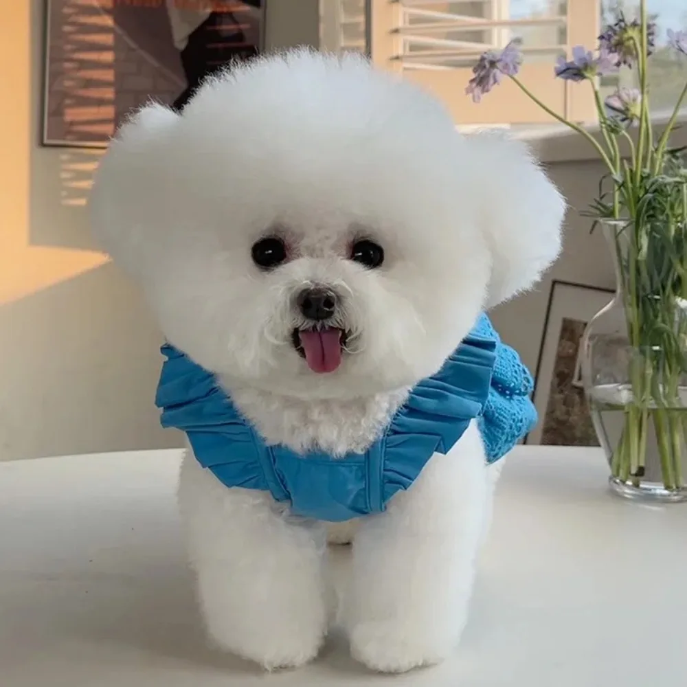 Pet Clothing Spring and Summer New Fly Sleeved Lace Dress Teddy Bear Dog Cat Thin Traction Clothing Dog Clothes for Small Dogs