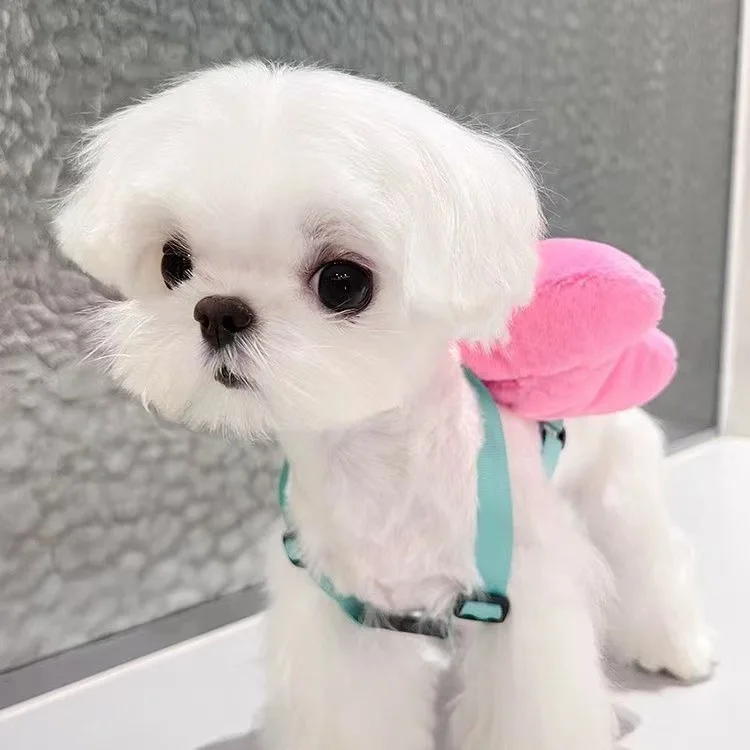 Pet Backpack Dog Backpack Cute Bow Bag Pet Bow Backpack Small Jewelry Decoration Teddy Maltese Dog Dog Cat Cute Princess