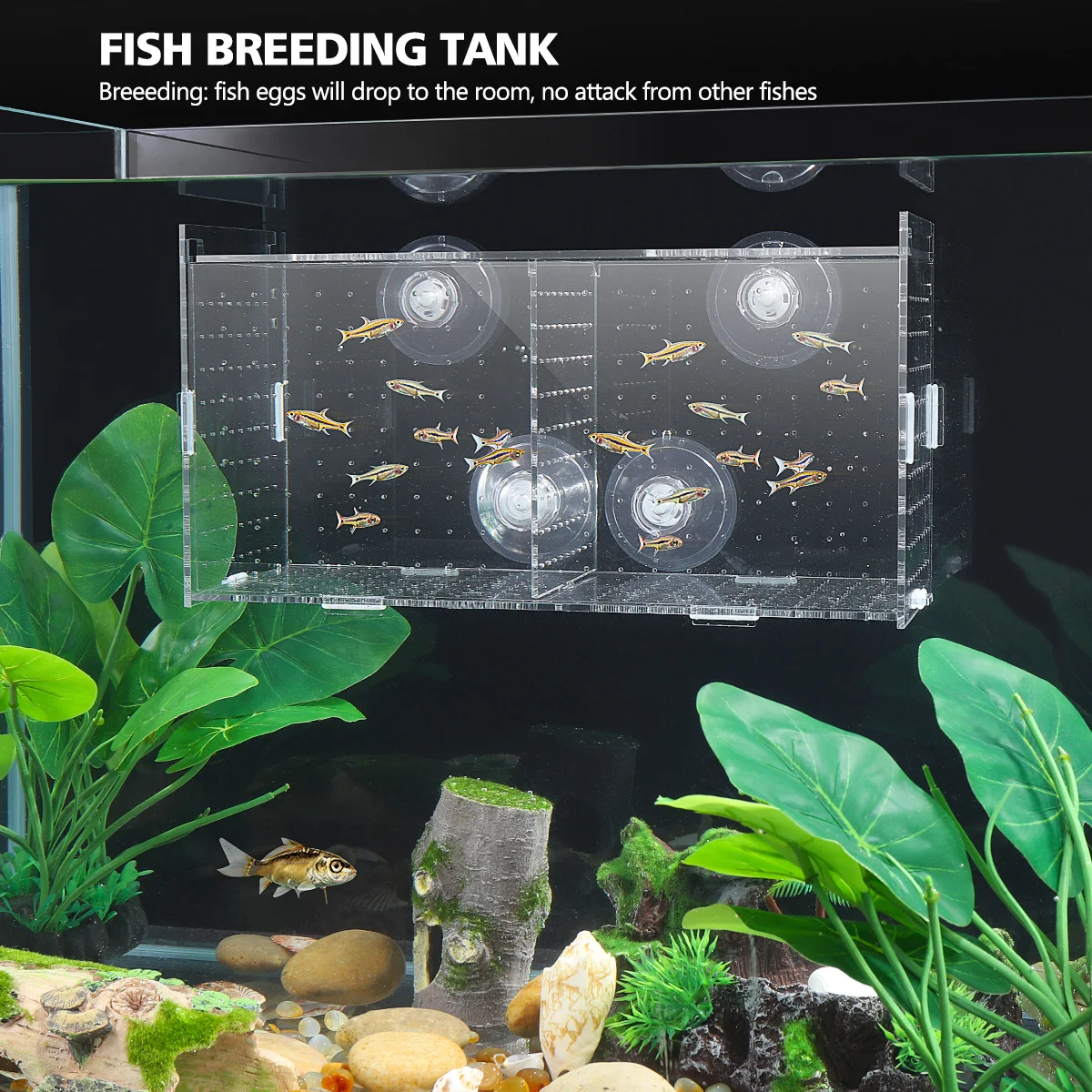 

Fish Breeding Tank 1PC Acrylic Transparent Aquarium Isolation Box Hatching Container for Pregnant or Sick Shrimps