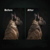 120g Pet Dog BULLY MAX High Protein Nutritional Formula for Puppies, Supports Muscle Growth & General Wellbeing 2