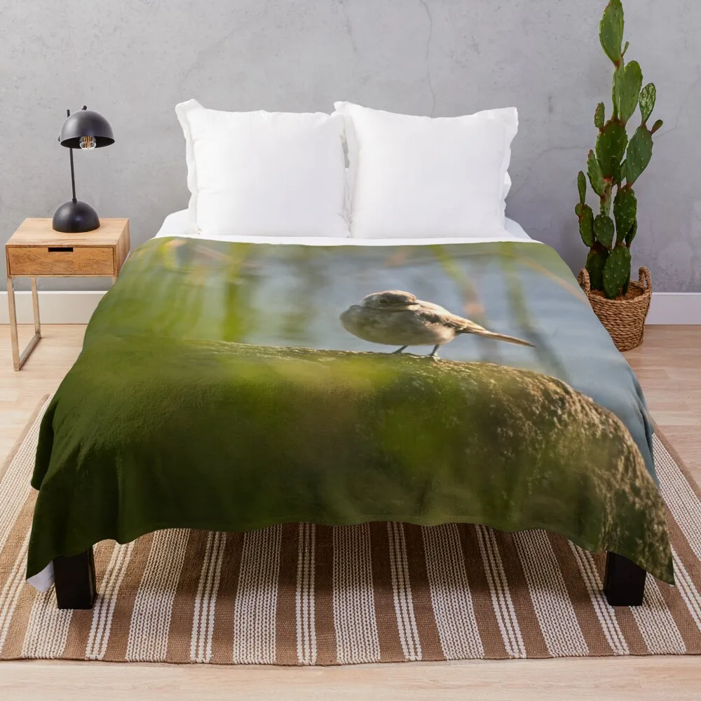 Tranquil Bird at Dawn Throw Blanket Hairy Bed cosplay anime Blankets For Sofas Blankets