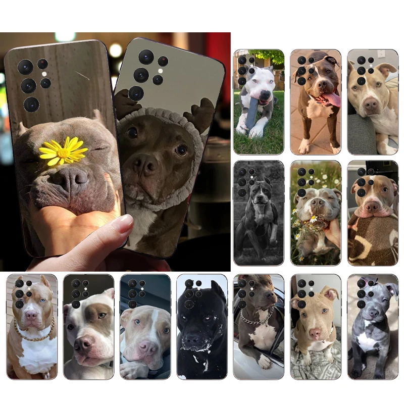 

Phone Case For Samsung Galaxy S26 S25 S24 S23 S22 Ultra S23 S22 S25 Plus S24 FE S26Edge Pitbull Terrier Dog