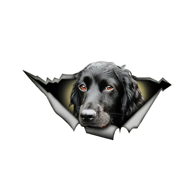 N375# Car Sticker Black Cocker Spaniel Waterproof Vinyl Decal Car Accessories Pegatinas Para Coche DIY Car Styling