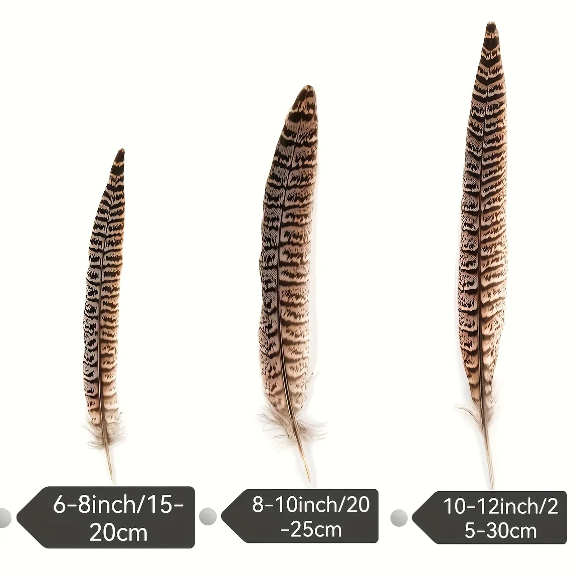 

10Pcs Natural Female Ringneck Pheasant Tail Feathers 10-35cm Real Feathers for Crafts Wedding Party Decoration