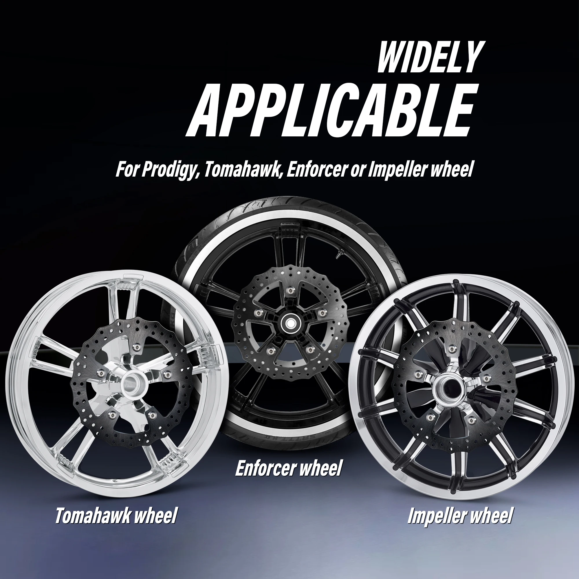 Рисунок 6 - Роторы переднего тормозного диска 11