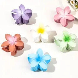 Sweet Hair Clip Frangipani Hair Clips Fashion Gradient Transparent Color Flower Hair Clip Ins Style Plumeria Colorful Hair Clip