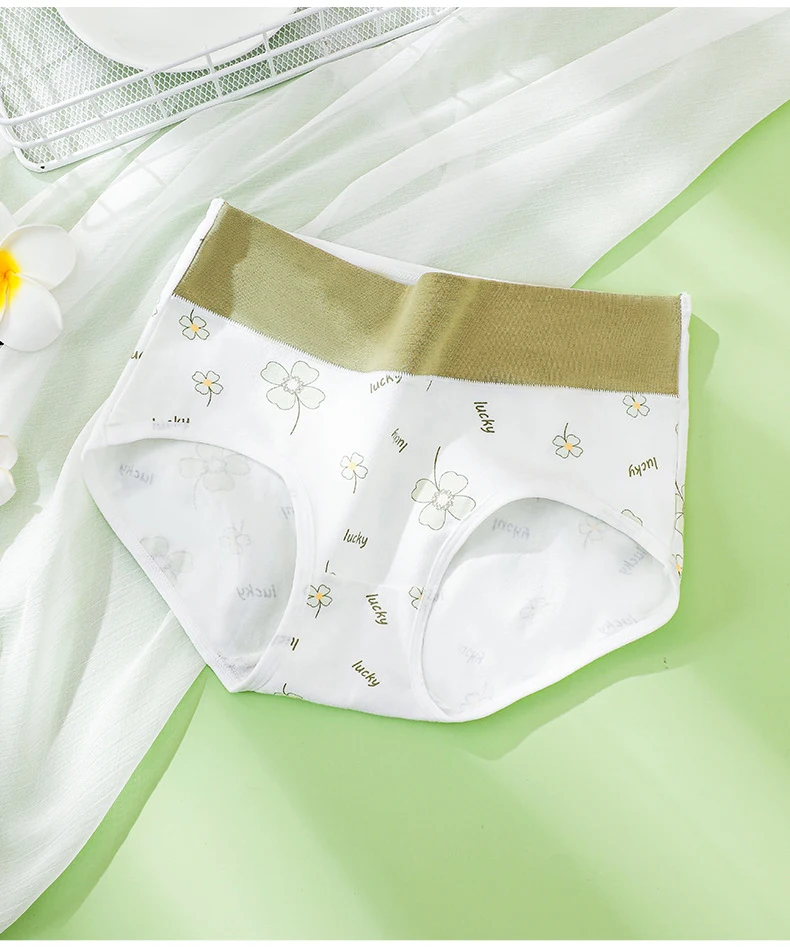 4Pcs/Set High Waist Underwear Cotton Women Panties Fashion Print Ladies Briefs Plus Size Sexy Panty Breathable Female Lingerie