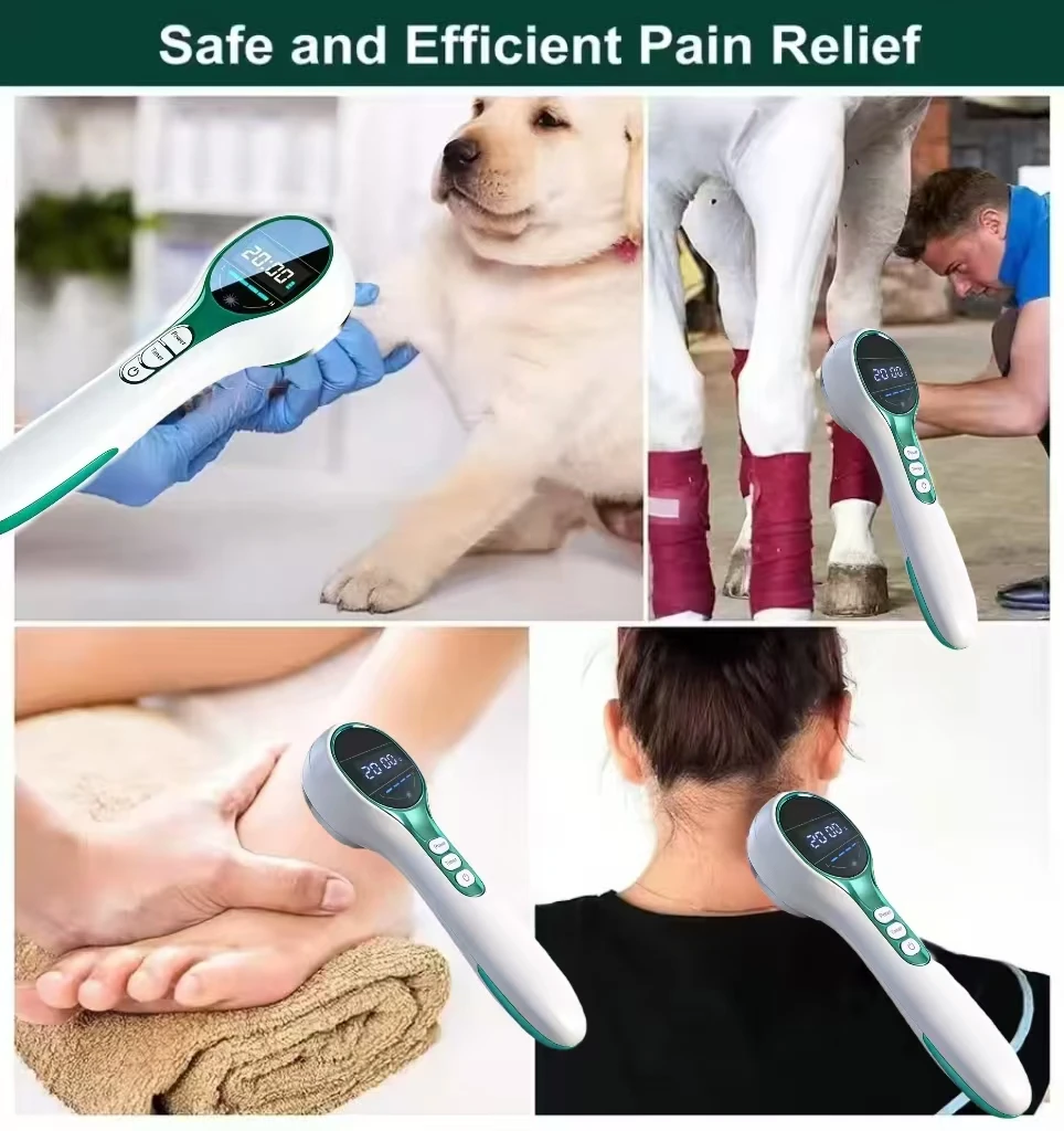 Veterinary Portable Cold Laser Therapy Device, 650nm 808nm LLLT for Dogs Cats Horses Pain Relief Itching Skin Treatment