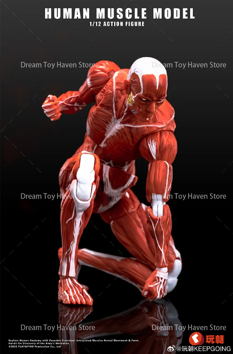 Keepgoing 1/12 مقياس جندي ذكر نموذج العضلات البشرية 6 بوصة دمى شخصيات الحركة سوبر المنقولة المشتركة مجموعة العضلات الجسم اللعب #2