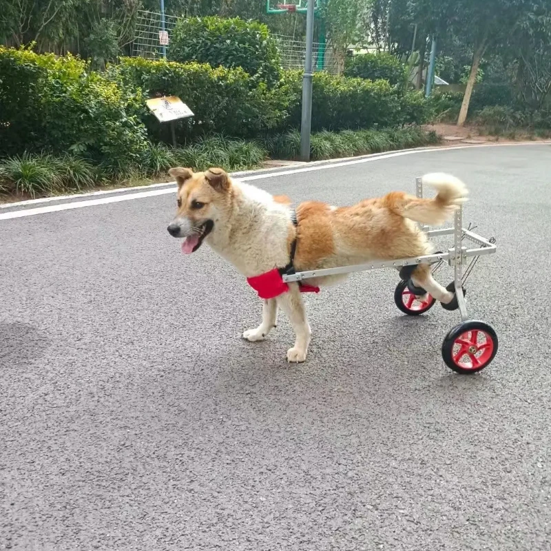 

Dog Rehabilitation Wheelchair Disabled Dog Mobility Cart Hind Leg Support for Paralysis and Weakness Exercise Aid