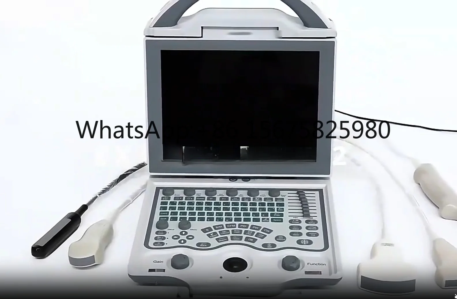 Veterinary Ultrasonic Diagnostic Machine Portable Pet Check Device