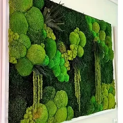 20/40/100g Artificial Moss Plants Eternal Life Moss DIY Crafts Grass Garden Home Room Decor Mini Landscape Fake Grass
