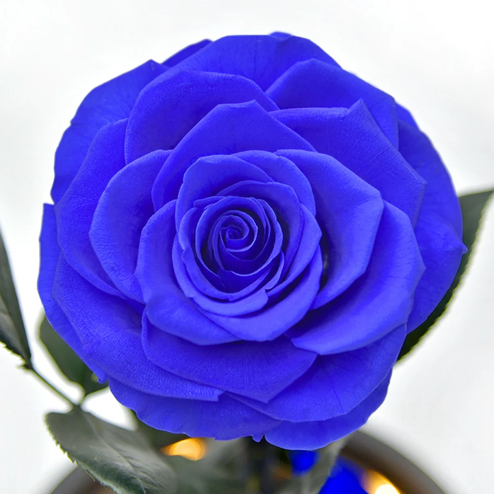 

Eternal Fresh Flower Bottle Light Blue Gift Box Creative Glass Decor for Valentine's Day Wedding Birthday Party