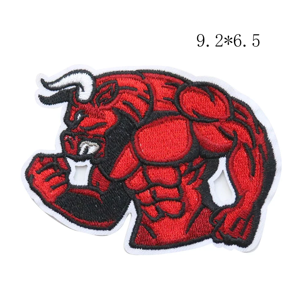 1PCS Skull Devil Punk Patch Bloodsucker Embroidery Applique Iron on Patches of Clothing Accessories Fabric Badge Cloth Stickers