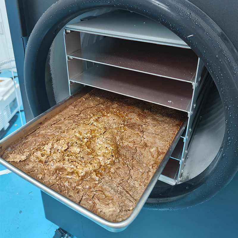 DALLE Automatic Commercial Home Freeze Dryer Machine For Fruit Food Meat Vegetable Processing With Core Pump & Gear Components