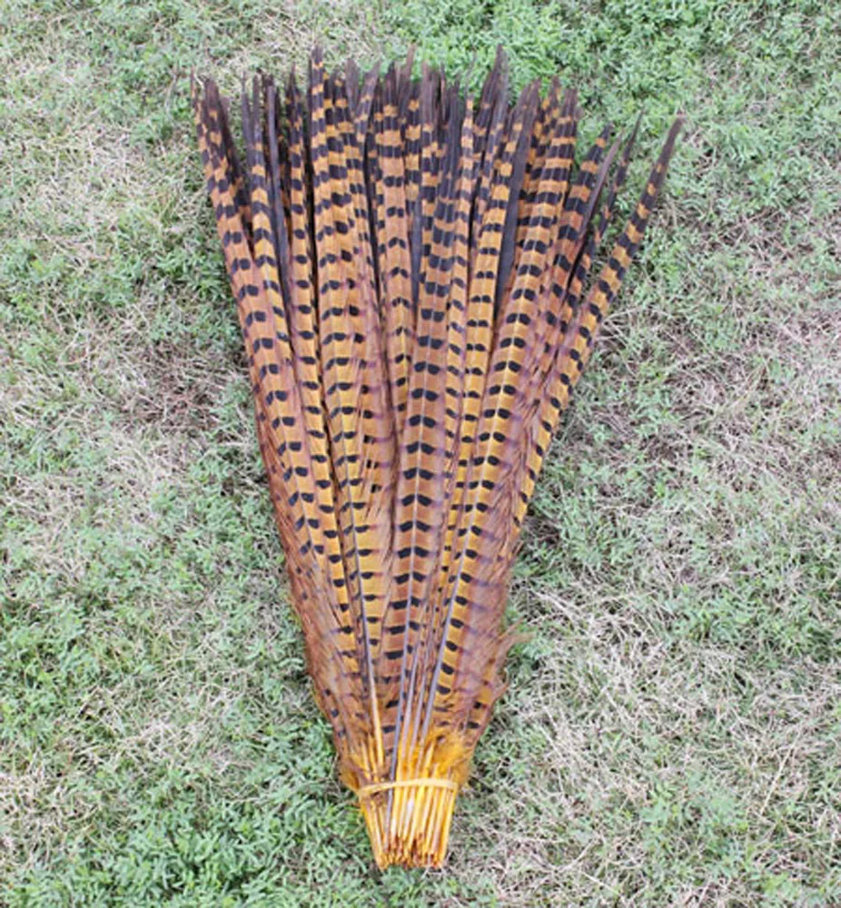 5Pcs/Lot! 45-54CM  Wholesale Colored Ringneck Pheasant Tail Feathers for Crafts  Large Decorative Feather Tail Festival Carniva