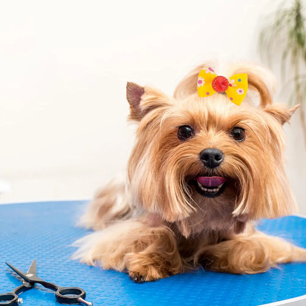 

25Pcs Adorable Pet Bowties Exquisite Grooming Bows for Dogs Cats Portable Decorative Accessory Random Color Dog Bows