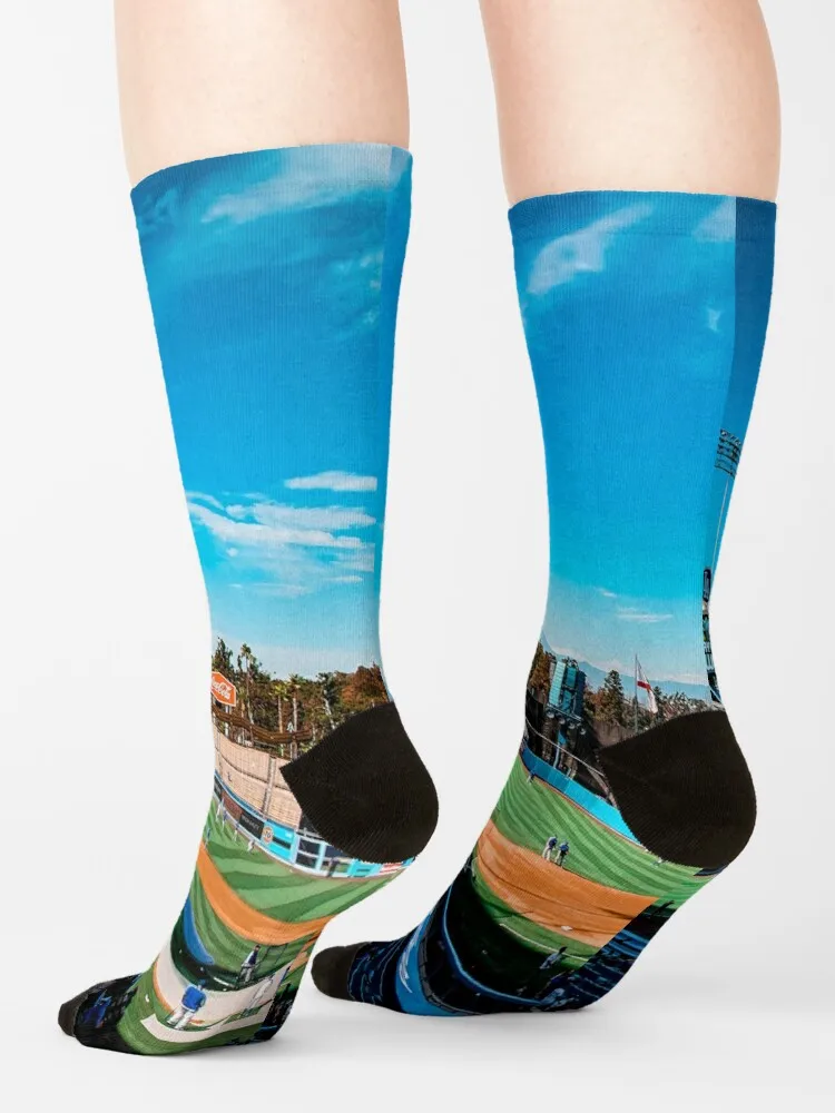 Dodger Stadion Socken Basketball Socken