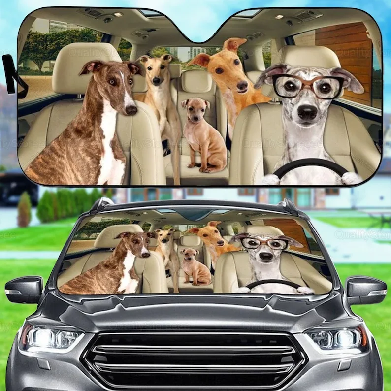 Funny Greyhound Car Sunshade, Dogs Family Sunshade, Dog Car Accessories, Car Decoration, Gift For Dad, Mom, Gift Owner Dog LNG18