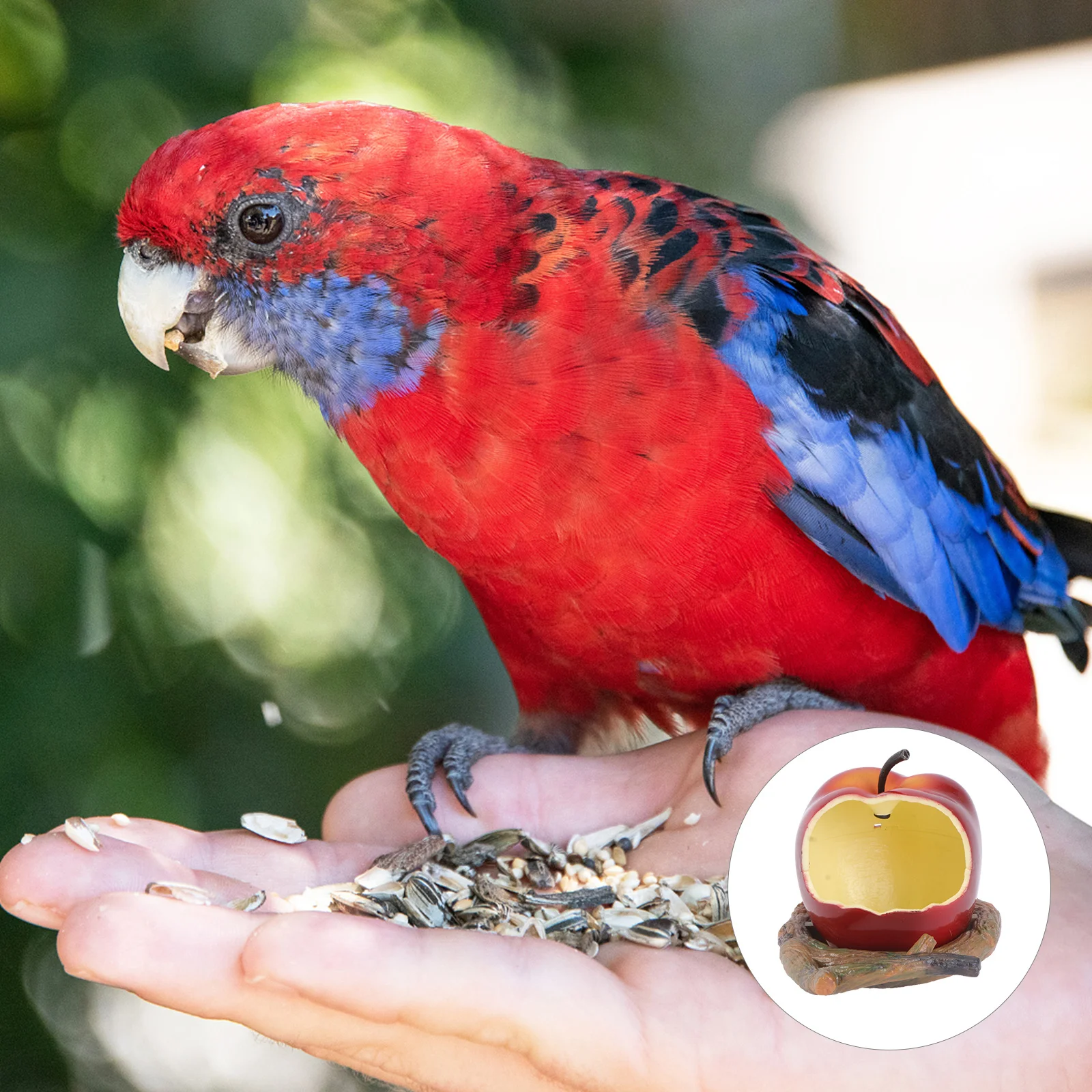 

1Pcs Parrot Feeding Accessories Fine Workmanship Beautiful Appearance Sanitary Food Basin Parrot Feeding Container