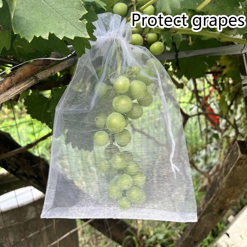 50pc Grapes Fruit Protection Bags Pest Control Anti-Bird Garden Netting Bags Mesh Agricultural Tree Garden Tool Bags